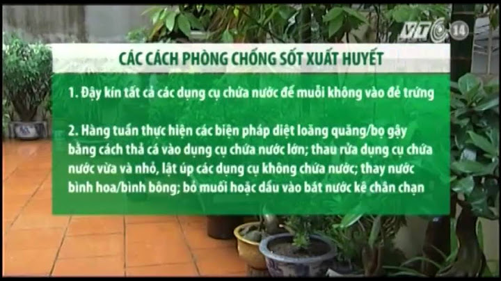 Công văn phòng chống dịch sốt xuất huyết