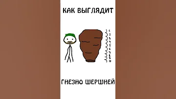 А вы знаете, как выглядит гнездо Шершней #shorts #шортс #животные #шершень  #авызналиэто