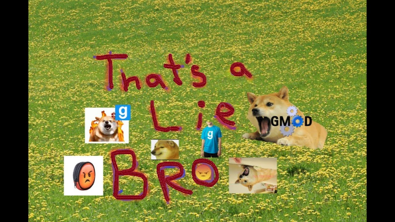 thats a lie bro (gmod admin on duty)