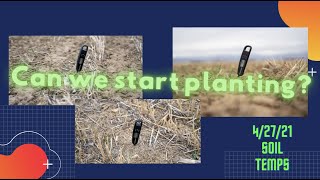 Soil temperature for planting Corn 🌽 #soilhealth #covercrops #plant21