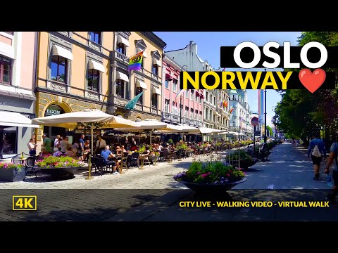 Video: Besök vaktskiftet på Oslos slott i Norge