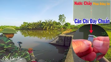Hướng Dẫn Cân Phao Chì Chạm Đáy Trong Câu Đài Chi Tiết, Trực Quan Và Chuẩn Nhất ➣ Kỹ Thuật Câu Đài