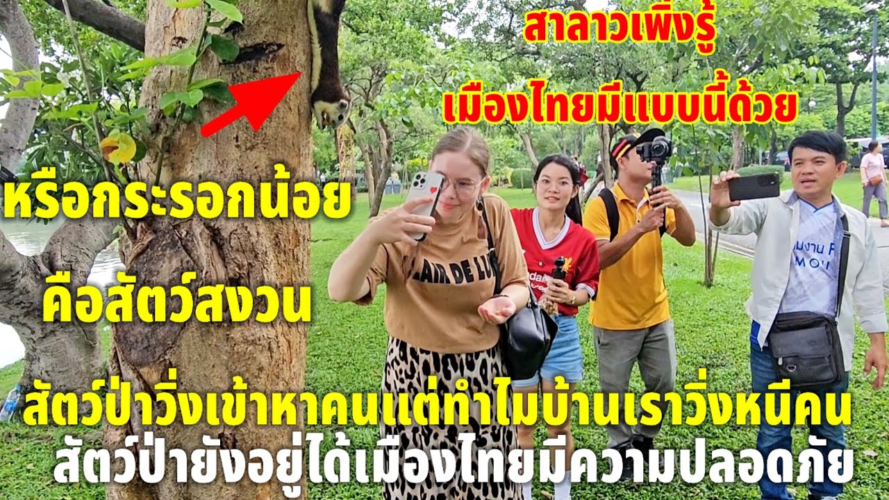 และแล้วสาวลาวก็ได้รู้ว่าไทยแลนด์ไม่เหมือนบ้านเรา สัตว์ป่าวิ่งเข้าหาคนบ้านเราสัตว์วิ่งหนีผู้คน