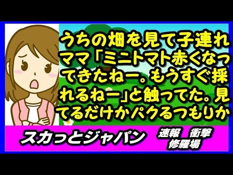 うちの畑のミニトマトを見て女の子を連れたママ「ミニトマト赤くなってきたねー。もうすぐ取れるねー」と触ってた。見てるだけかパクるつもりか。【スカッとジャパン 速報 衝撃 修羅場】