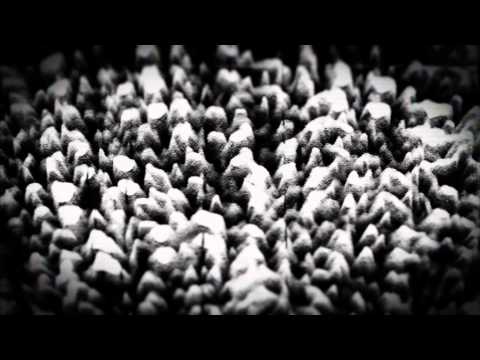 zenial - connection reset by the peer (trailer)