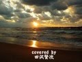 心の道/和田青児/cover田沢賢次