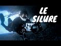 Le plus gros poisson de nos rivières! ( Silure Glane)