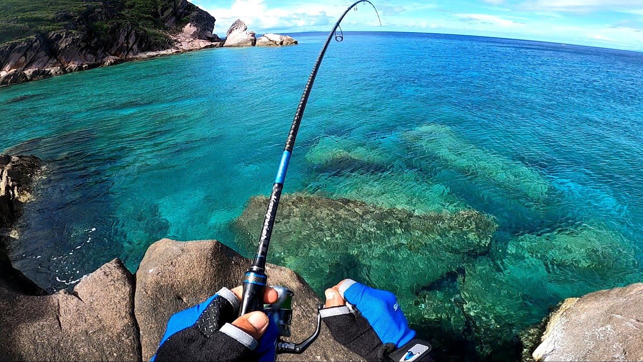 Kahit Saan Lumipat TALAKITOK Ang KUMAKAGAT❗