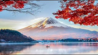 Alphaville Big İn Japan