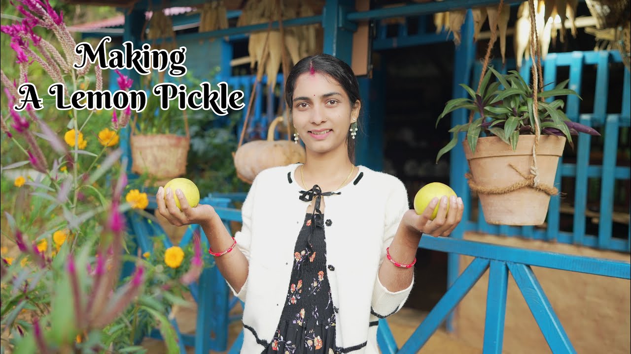 Anzu’s Making a Lemon Pickle,Organic Fruit ~Anzu’s Rural Life 