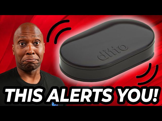 Ditto Wearable Vibrating Notifier for Smartphones class=