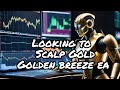 Gold scalper trading live  expert advisor forex robot  golden breeze 4 weeks trading review