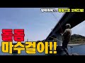 돌돔 올해 첫?! 마수걸이 했습니다. 돌돔원투 [캠낚세끼] / 추자도 낚시n캠핑 / caravan / camping car / Fishing / 캠핑카