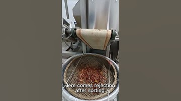 Angelon color sorter for chili sorting 2022