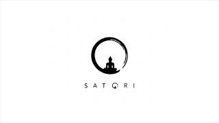 What is the Satori Network?