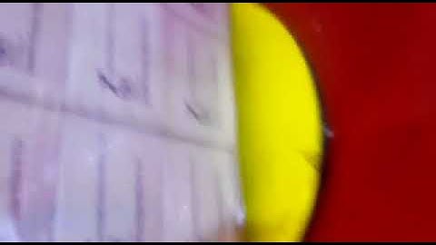 Demo Video for Pallet Wrapper MachineModel2000BC,Italian Collaborated,Sheikh Abdul Rehman0335303965