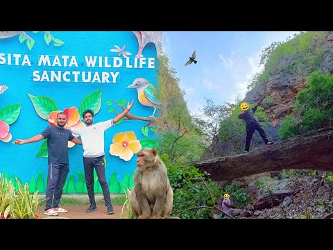 Sita Mata Junglee सीतामाता वन्य जीव अभ्यारण्य || Biggest Forest in Rajasthan || Pratapgarh ||