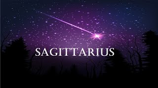 SAGITTARIUS♐ THEY TOOK THE 