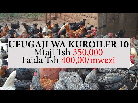 Video: Mchuzi Wa Kuku Na Faida