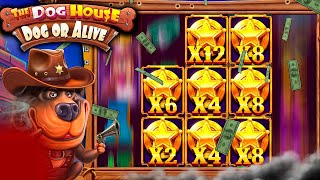 :   !!!   THE DOG HOUSE DOG OR ALIVE /  