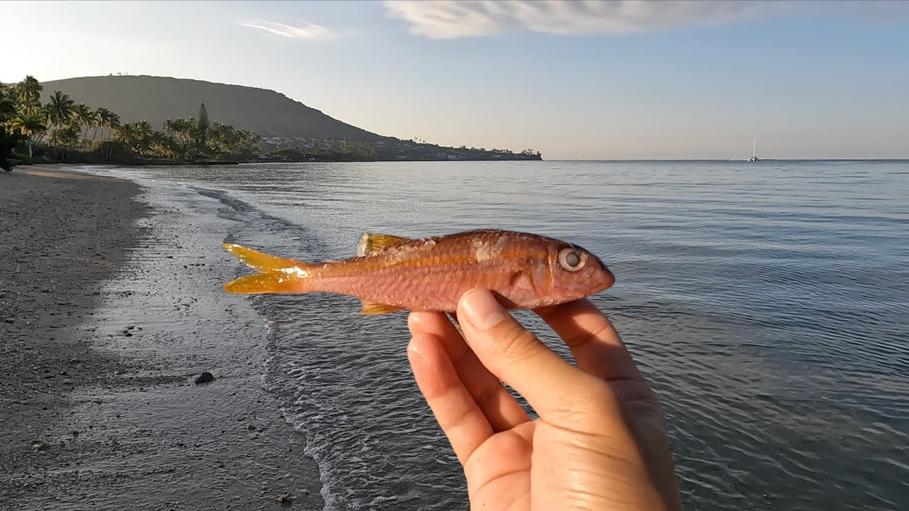 Эта наживка из нарезанной рыбы ловит всё на Гавайях! | Гавайские рыболовные приключения!