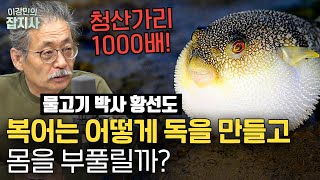 🐡 못생긴 생선 특집: 넙치, 아귀, 복어/해독도 어려운 복어독/신기한 넙치의 성장과정/아귀찜의 유래? (황선도 전 국립해양생물자원관장)