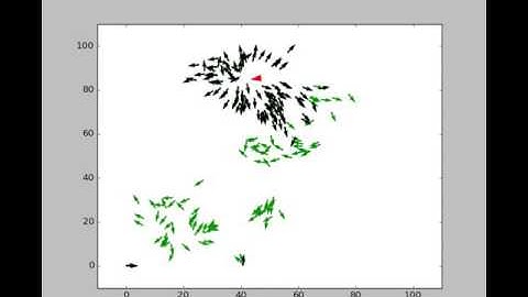 Flock Simulation