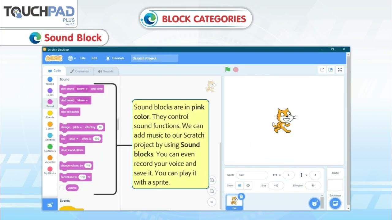 What Are the Different Block Categories in Scratch? - Wiingy