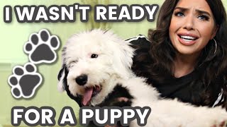 I WASN'T READY FOR A PUPPY | New Puppy Tips | What I Wish I Knew Before Getting a Puppy