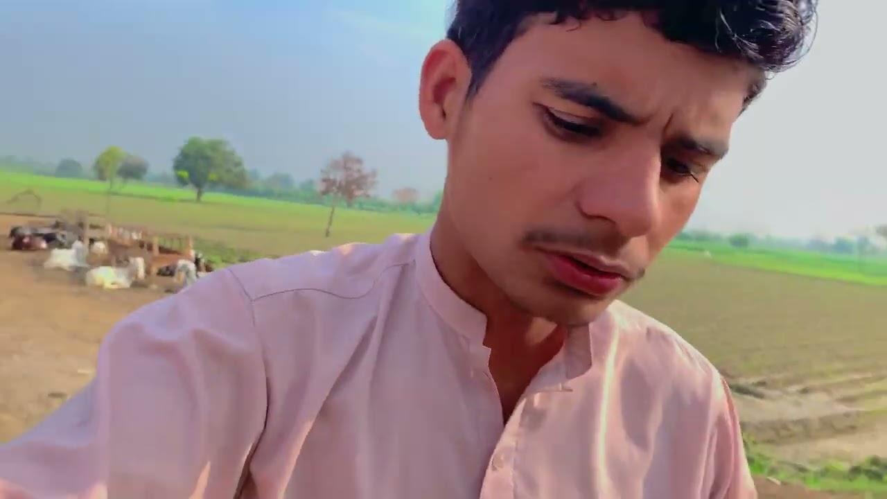 آج صبح سے شام تک ہم کیا کرتے ہیں آج ہم آپ کو بتائیں کیے #foryou #verilvideo 