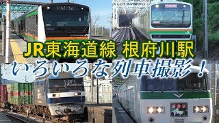 【JR東海道線】根府川駅でいろいろな列車撮影！
