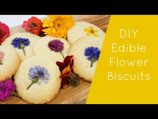 How to Make Candied Edible Flowers - Baking Butterly Love