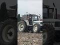 Who loves the sound of this Super tractor? #shorts #lamborghini