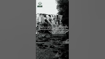 سورة الشورى • مكية • بصوت سعود الشريم | عدد الآيات: 53 #قرآن #Quran #تلاوة #قرآن_كريم #الشورى