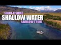 Patagonia sight fishing shallow water rainbow trout fly fishing dry flies to cruising rainbow trout