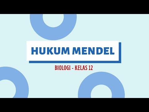 Video: Bagaimana langkah-langkah percobaan Mendel?
