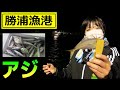 【勝浦漁港】アジ釣り！釣り女子日誌☆ねいちさんとコラボ
