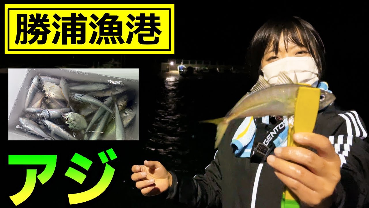 勝浦漁港 アジ釣り 釣り女子日誌 ねいちさんとコラボ Youtube