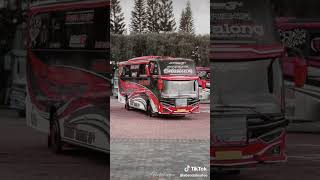 Download Lagu cinematic bis aneka bintang dang sabalong jb3+ MP3