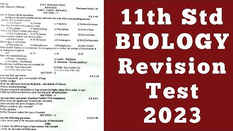 11th biology first revision test question paper 2023