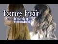 Updated Toned Hair Routine! (Won't affect your natural hair color!)