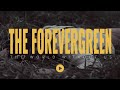 The world without us  the forevergreen official