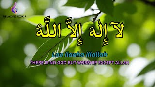 Dhikir LAILAHAILLALLAH Relieve Stress I LAILAHAILLALLAH I Dhikr at Night to Easily Sleep #338