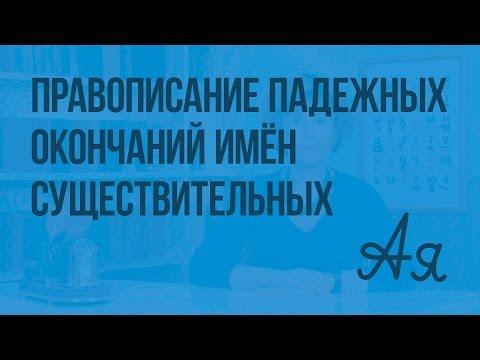 Правописание падежных окончаний имён существительных. Видеоурок  по русскому языку  4  класс