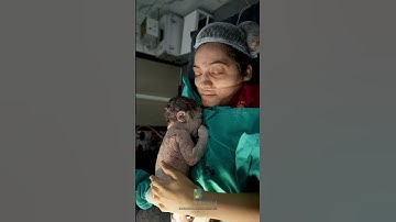 Thumbnail of Welcome to the World: Our Newborn's Arrival  #shorts #happiness #trending #newborn #newlife