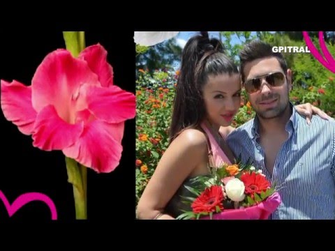 Σκοπός Νύφης Κρητικός