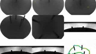 Multi-camera fly tracking system