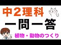 【2021新中２向け】中学２年理科【一問一答式問題集】植物と動物のからだのつくり