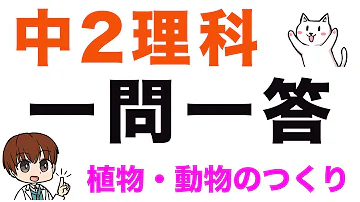 中２理科 一問一答