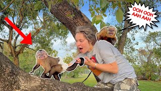 CLIMBING TREES WITH MY BABY MONKEYS! GONE WRONG?!